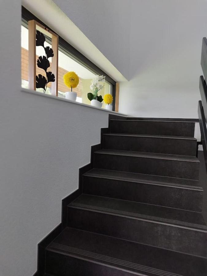 Wolke7 Apartment Frittlingen Екстериор снимка